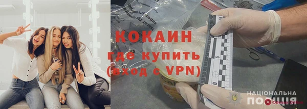 шишки Белокуриха