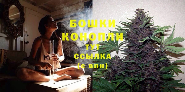 шишки Белокуриха