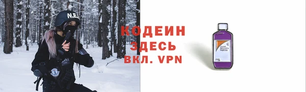 шишки Белокуриха