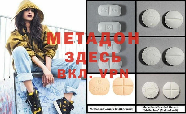 шишки Белокуриха