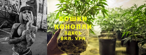 шишки Белокуриха