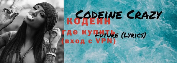 шишки Белокуриха