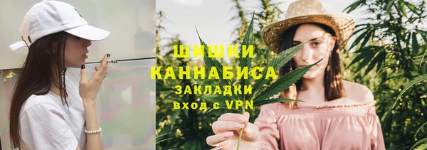 шишки Белокуриха