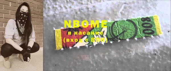 шишки Белокуриха