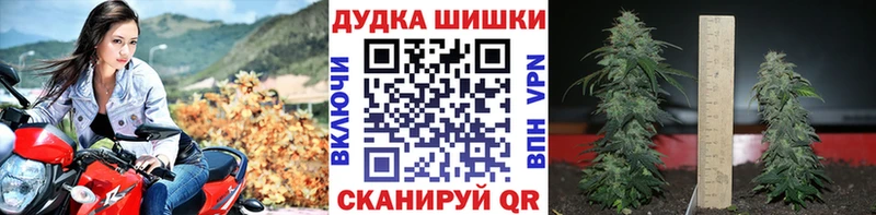 где купить   Владимир  Конопля гибрид 